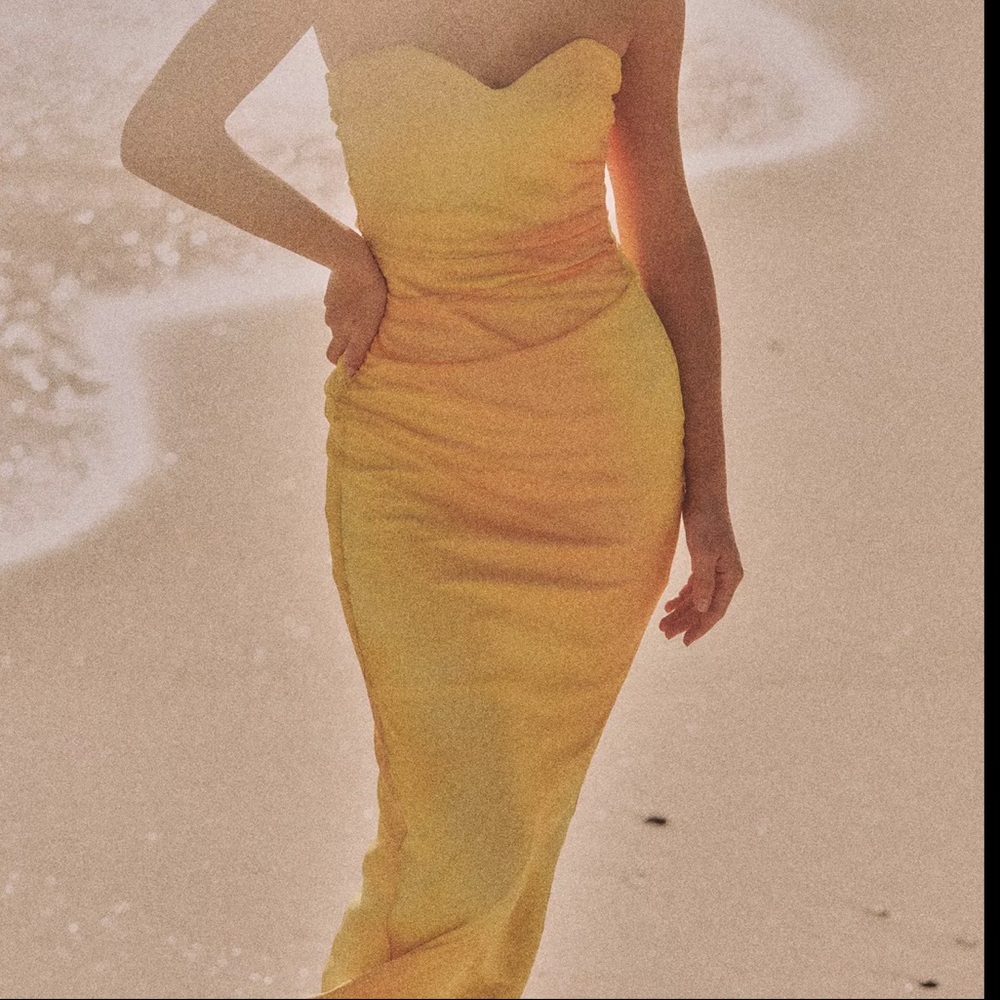 NWT ZARA Tulle Dress